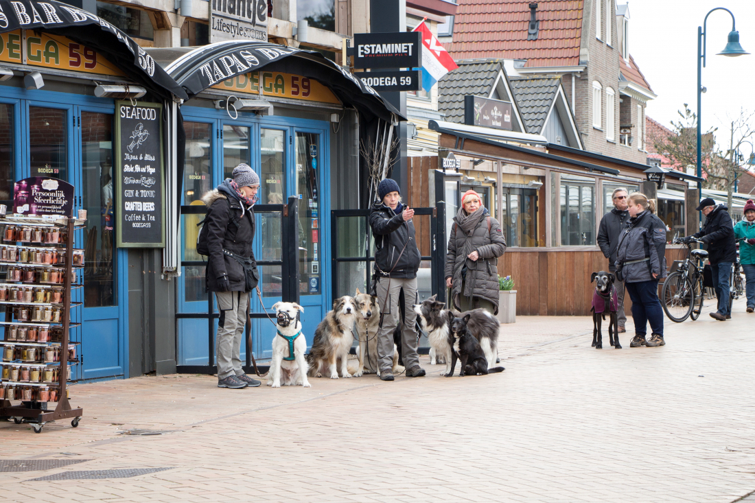 Stadt-Training | 4 x 60 Min.