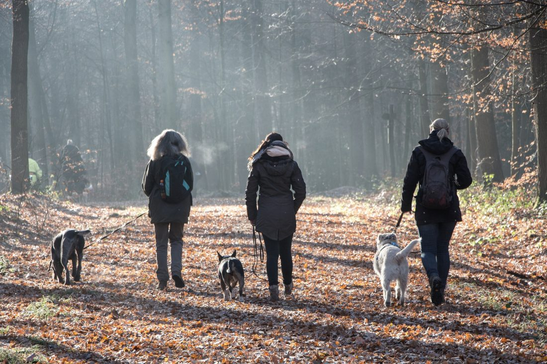 Winterspaziergang